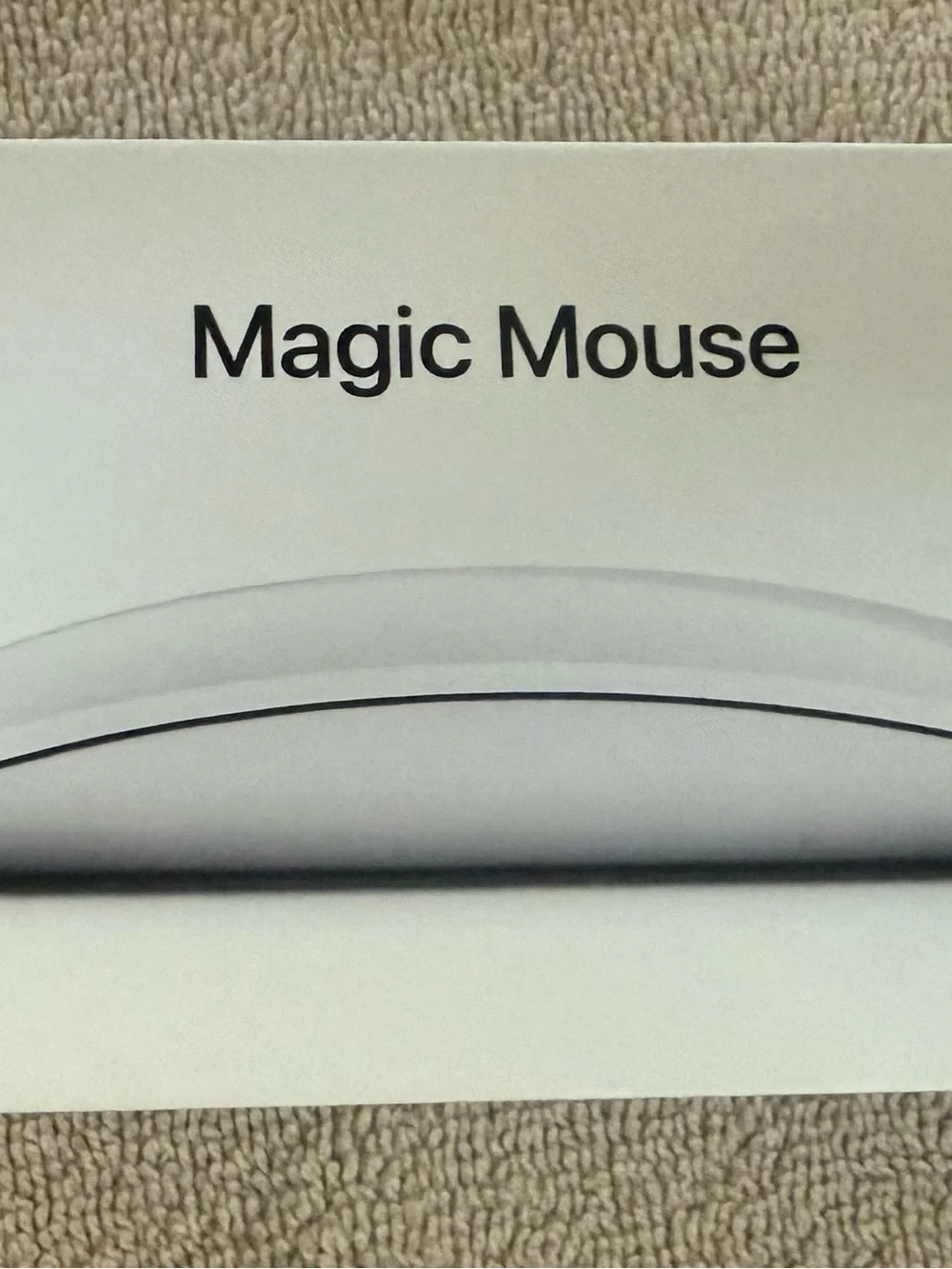 Apple Magic Mouse — White Surface